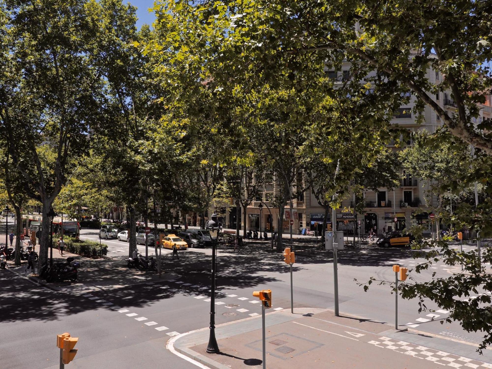 Barcelona Central Park II, Barcelona